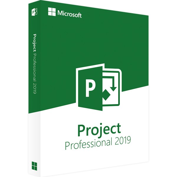 MICROSOFT PROJECT 2019 PROFESSIONEEL